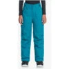 Roxy Backyard Pants Girls