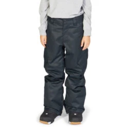 DC Shoes Banshee Snow Pants Boy's
